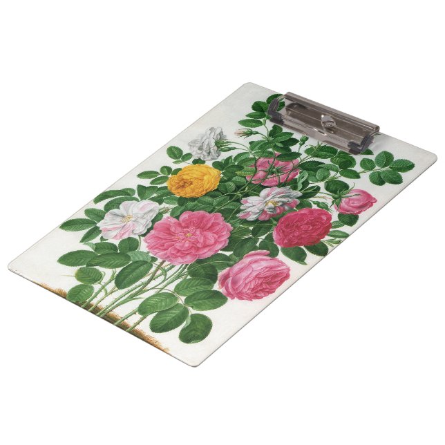Vintag blühende Blume, Frühjahrsgärten-Rose Klemmbrett (Schrägansicht)