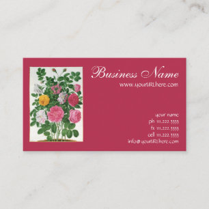 Vintag blühende Blume, Frühjahrsgärten-Rose Visitenkarte