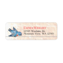 Vintag Boho Blush Pink Bluebird Hochzeit