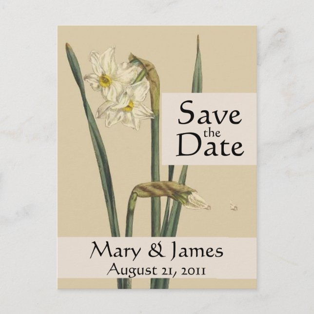 Vintag Botanicale Dosierung Save the Date Postkart Ankündigungspostkarte (Vorderseite)