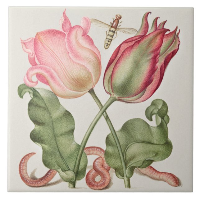 Vintag botanisch fliese (Vorderseite)