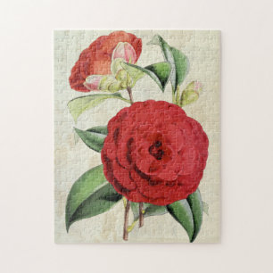 Vintag Botanische Crimson Camellia