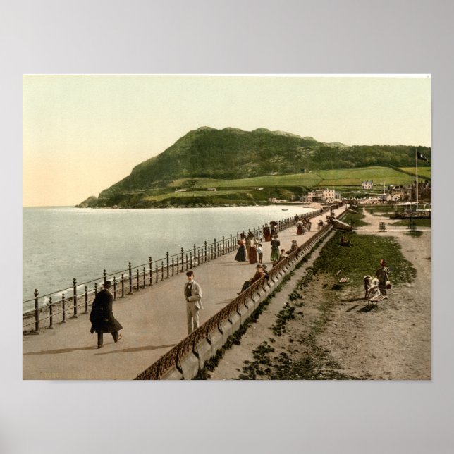 Vintag Bray Poster (Vorne)