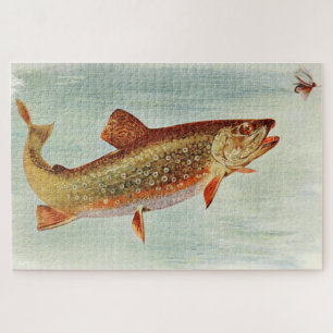 Vintag Brook Trout Illustration (1914)
