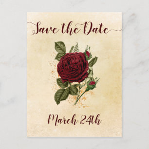 Vintag Champagne Burgundy Rote Rose Save the Date Ankündigungspostkarte