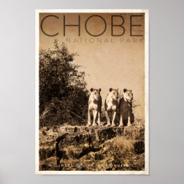 Vintag Chobe National Park Travel Poster