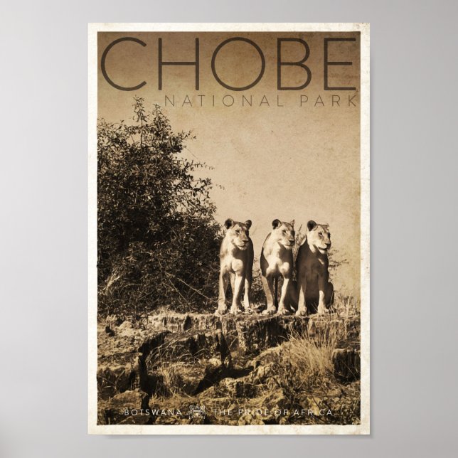 Vintag Chobe National Park Travel Poster (Vorne)