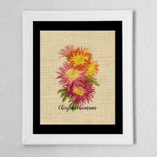Vintag Chrysanthemum Botanical Poster