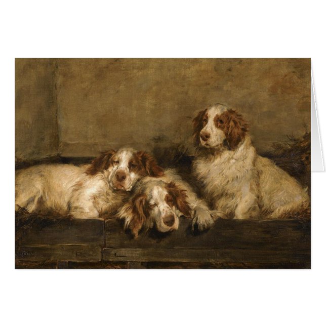 Vintag - Clumber Spaniel-Hunde, (Vorderseite (Horizontal))