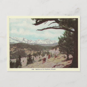 Vintag Colorado Postkarte