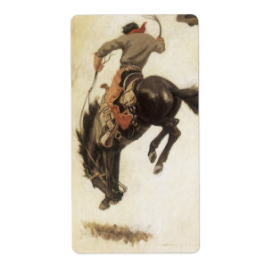 Vintag Cowboy, Bronco Buster Studie von NC Wyeth