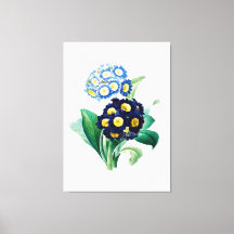 Vintag Cowslip Primrose botanisch