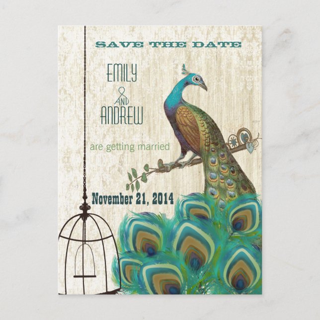 Vintag Damask Peacock Birdcage Save the Date Ankündigungspostkarte (Vorderseite)