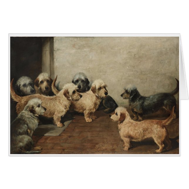 Vintag - Dandie Dinmont Terrier-Hunde, (Vorderseite (Horizontal))