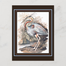 Vintag Elizabeth Gwillim Lila Heron Postkarte