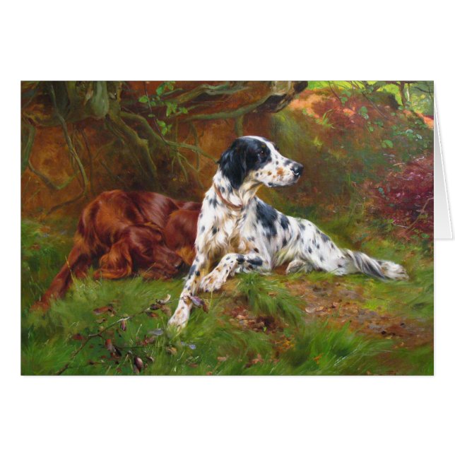 Vintag - englischer u. Setter-Hunde, (Vorderseite (Horizontal))