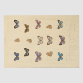 Vintag Ephemera Script Butterfly Decoupage Seidenpapier