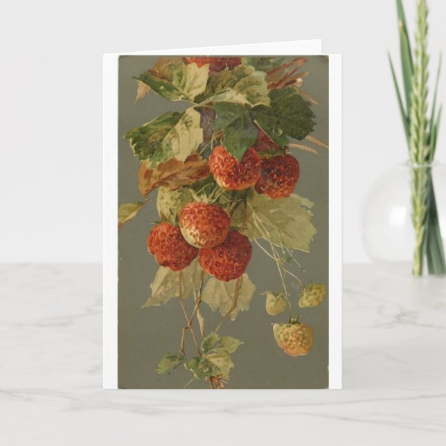 Vintag - Erdbeeren im Weinbau, Karte (Vorderseite)