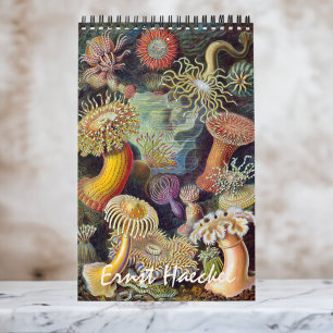 Vintag Ernst Haeckel, Biologie, Botanik, Wissensch Kalender