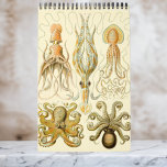 Vintag Ernst Haeckel, Biologie, Botany, Science Ca Kalender<br><div class="desc">12 Monate Kalender mit Vintagen Illustrationen von Ernst Haeckel. Gutes Geschenk für Nerd und Geeks der Naturwissenschaften! Von der Meeresbiologie zur Botanik und darüber hinaus! Umfasst Naturszenen mit Tieren, gruselige Spinnen, tropische Pflanze, Blume und Orchideen aus den Regenwäldern, Wasserleben, Meeresanemonen, Seeschlachten, Quallen, Schildkröten, Schildkröten, Eidechsen, Frösche, Muscheln, Oktopi, riesiger Tintenfisch...</div>