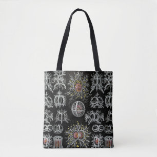 Vintag Ernst Haeckel Stephoidea Tasche