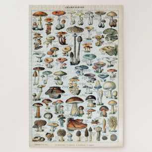 Vintag essbare Mushroom Chart