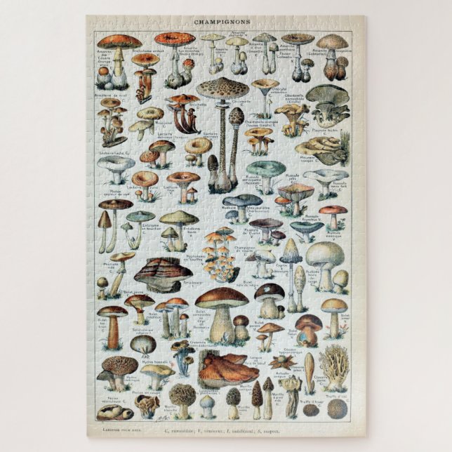 Vintag essbare Mushroom Chart (Vertikal)