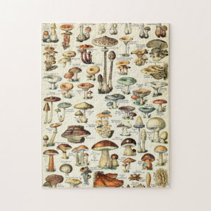 Vintag essbare Mushroom Chart
