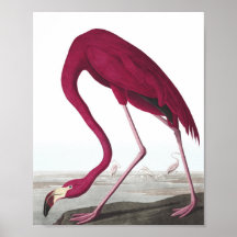 Vintag Flamingo Poster