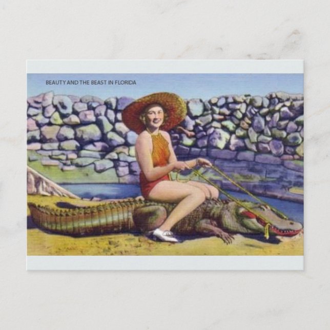 Vintag Florida Alligator Postkarte (Vorderseite)