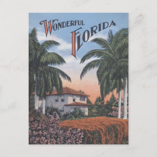 Vintag Florida Broschüre Postkarte