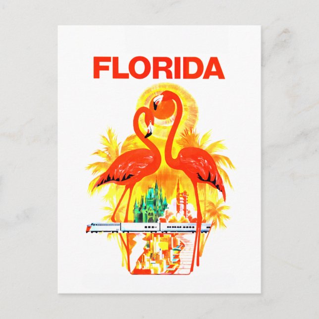 Vintag Florida Flamingos Travel Postkarte (Vorderseite)