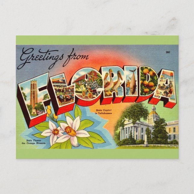 Vintag Florida Gruß Postkarte (Vorderseite)