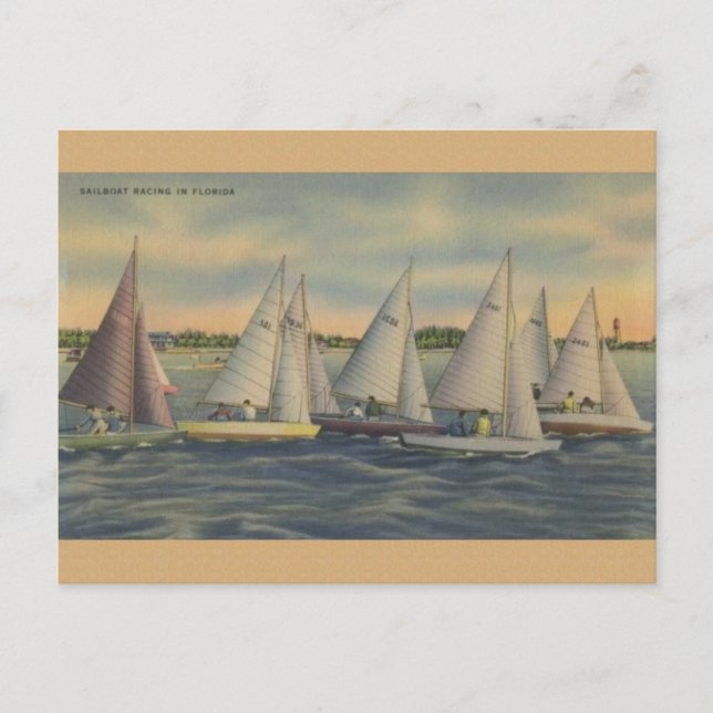 Vintag Florida Sailboat Racing Postkarte (Vorderseite)