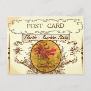 Vintag Florida Staat Blume Postkarte