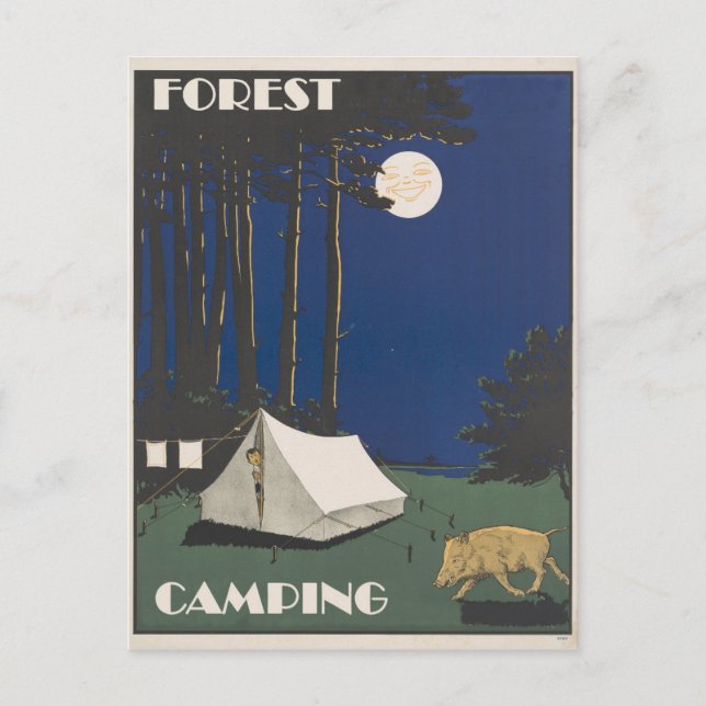 Vintag Forest Camping Travel Postkarte (Vorderseite)