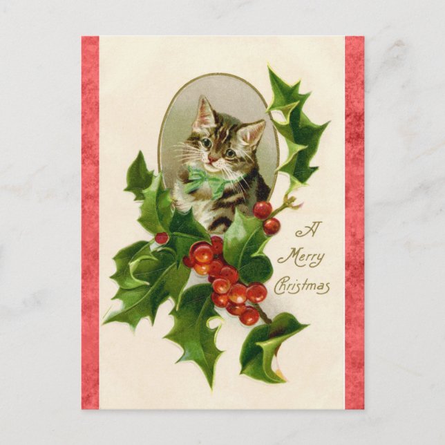 Vintag Frohe Weihnachtsgrüße Niedlich Kitten Katze Postkarte (Vorderseite)