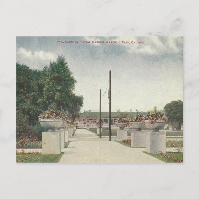 Vintag Garfield Park Chicago Illinois Postkarte (Vorderseite)