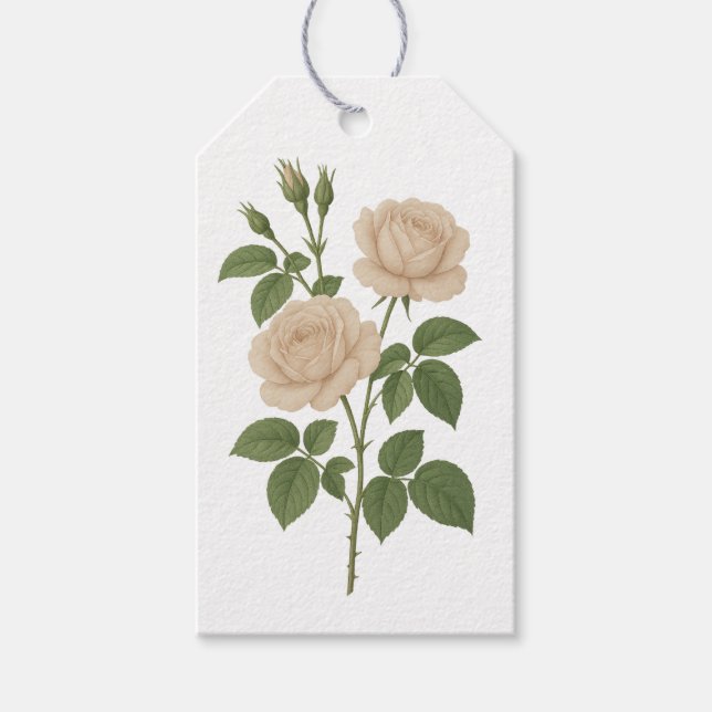 Vintag-Garten-Rose Geschenkanhänger (Vorderseite)