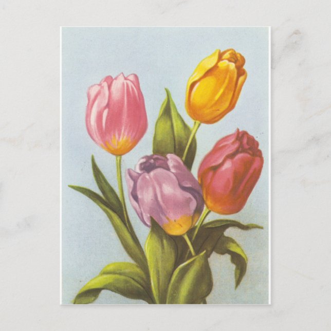 Vintag Gelb, Rosa und Lila Tulpen Postkarte (Vorderseite)
