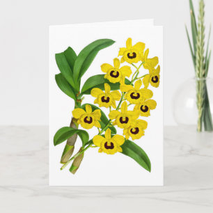 Vintag-Gelbe Orchideen-Blume Karte