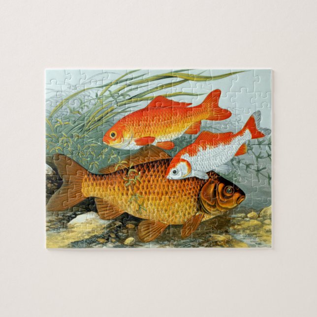 Vintag Golden Carp Koi Goldfish (Horizontal)