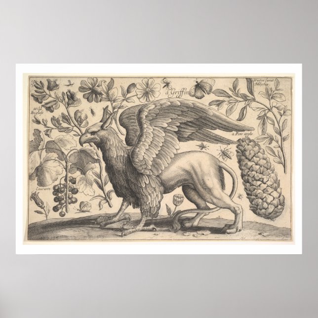 Vintag Griffin Griechisch Mythology Botany Poster (Vorne)