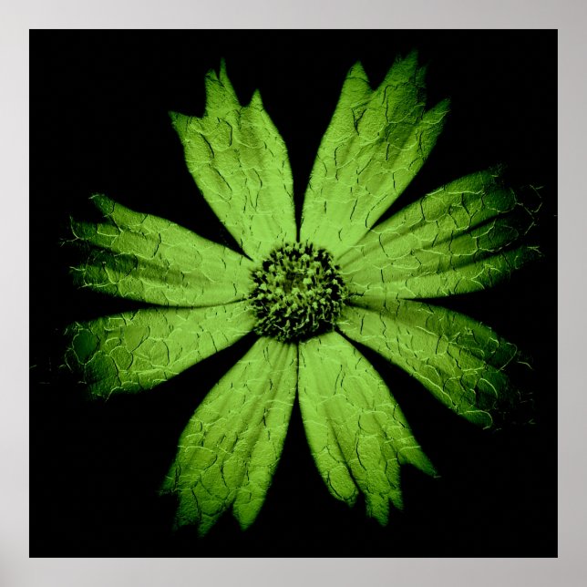 Vintag-grüne Kosmos-Blume auf Schwarz Poster (Vorne)