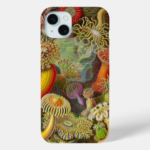 Vintag Haeckel Anemones title_seo2