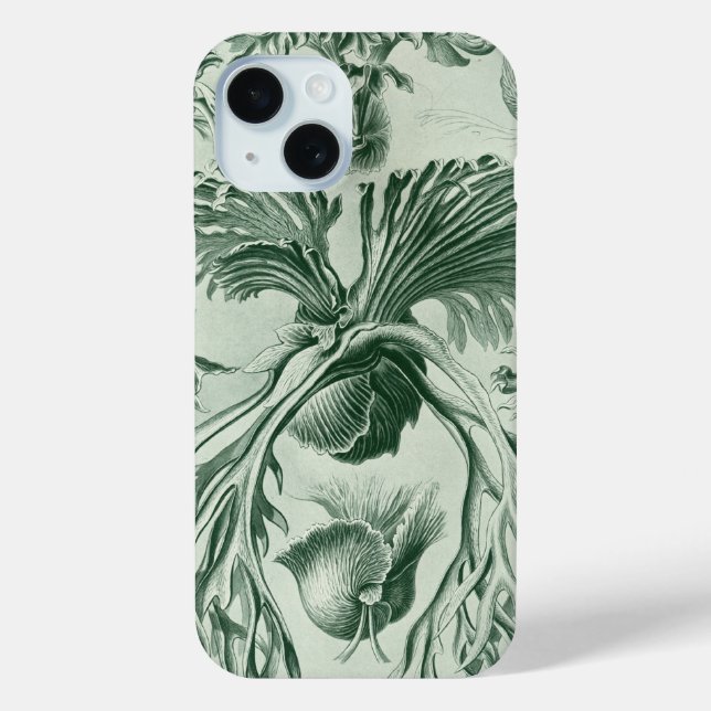 Vintag Haeckel Case-Mate iPhone Hülle (Rückseite)
