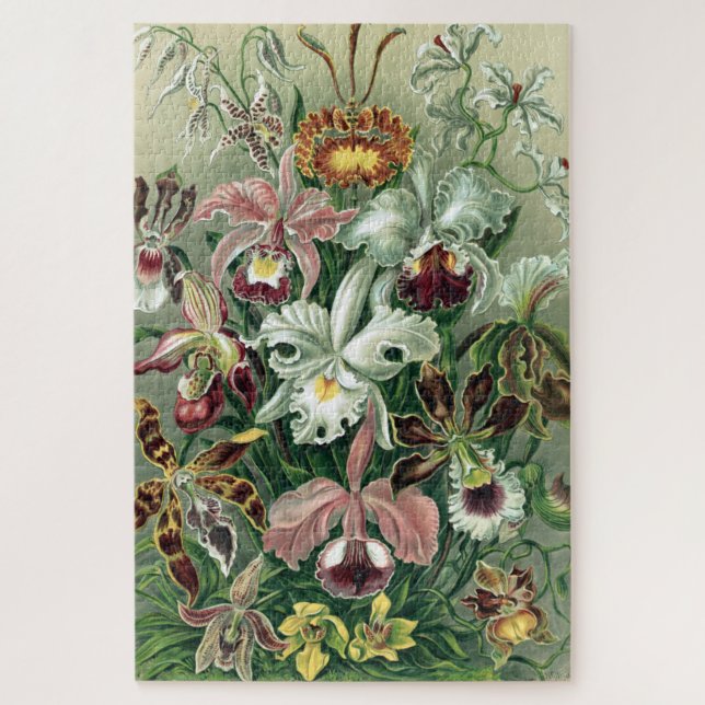 Vintag Haeckel farbiges Orchid Lithoster (Vertikal)