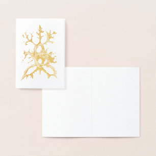 Vintag Haeckel Folienkarte