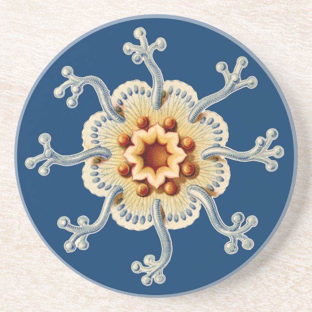 Vintag Haeckel Getränkeuntersetzer (Vorne)