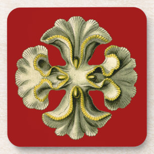 Vintag Haeckel Getränkeuntersetzer